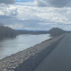 Meet your Posher, Ann